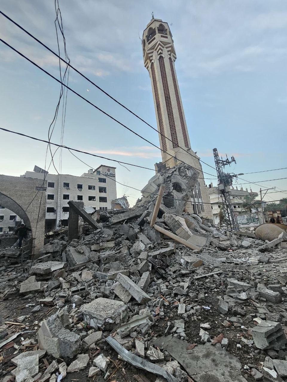 WhatsApp Image 2023-12-08 at 09.38.51.jpeg